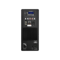 Módulo de Amplificador de Potencia Profesional para Auto y Hogar Accuracy Pro Audio 10AOH-80W con DSP para Caja de Altavoces