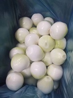 Oignons pelés frais, emballés sous azote, graines d'oignons rouges hybrides, oignons blancs pelés de Chine, exportés au Japon