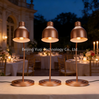 Lampe chauffante électrique rétractable en acier inoxydable couleur or rose pour restaurant et buffet à domicile