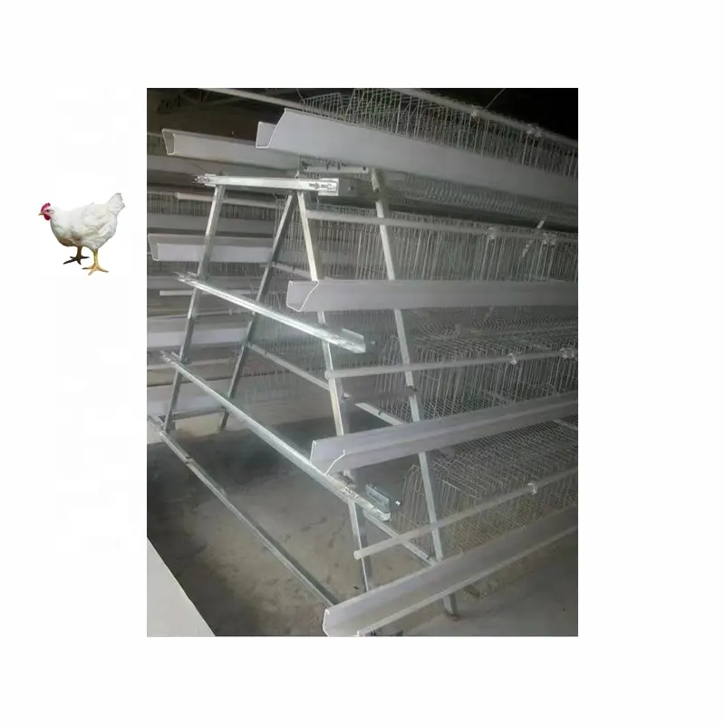 Durable Innovative Design Easy Operation Stable Structure Simple NT-3L-Auto-H Folding Chicken Cages With Market Shop