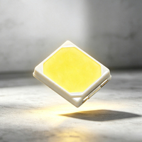Puce LED SMD 2835 de haute qualité, diode LED à faible atténuation et longue durée de vie pour la décoration urbaine et l'éclairage des ponts