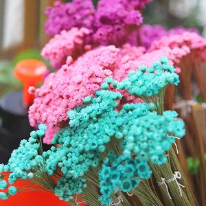 2023 Hot sale flora arrangement dried mini small flower happy flower for decoration