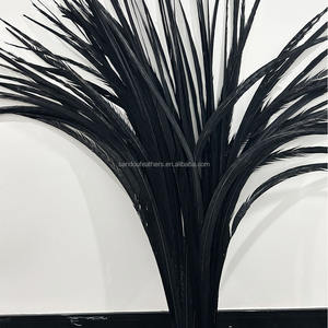 Plumes de faisan de carnaval noires longues teintes, plumes de queue de faisan Reeves pour costumes de festival de carnaval époustouflants - Product Image 5