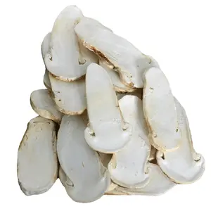 Freezing White Dried Tricholoma Matsutake Slices