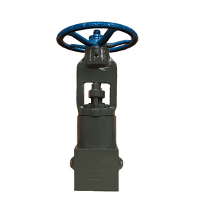 Vanne à soupape en acier forgé A105 PN480 DN65 pour centrale électrique, à souder bout à bout, anti-refoulement - Product Image 2