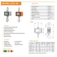 Timbangan Crane Industri Digital LCD Multi-Unit 200kg Baja Paduan, Dapat Berubah Satuan Kg/lb/oz, OEM/ODM Dapat Disesuaikan untuk Kualitas Global