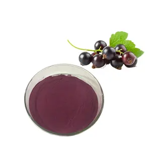 Longze Top Quality black currant powder Ratio extract 4:1-20:1