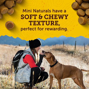 Golosinas de Entrenamiento para Perros Pequeños, Receta de Pollo, Solo <span class=keywords><strong>2</strong></span> Calorías por Golosina, con Vitaminas y Minerales, Snacks de Recompensa para Perros Pequeños - Product Image 5
