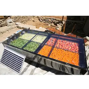 Secador solar de alta qualidade para frutas e legumes RSDAL8T com preço com desconto da Índia