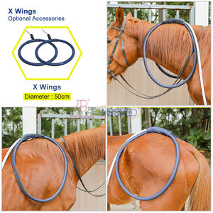 Soins <span class=keywords><strong>de</strong></span> santé professionnels vétérinaire tapis Pemf équipement d'hôpital pour animaux <span class=keywords><strong>de</strong></span> compagnie clinique vétérinaire magnétoterapia équipements <span class=keywords><strong>de</strong></span> <span class=keywords><strong>magnétothérapie</strong></span> - Product Image 4