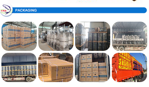 8 Inch 7.5KW Oil Immersed <b>Submersible</b> Multistage High Water <b>Pump</b> Perme for Irrigation Agriculture - Product Image 5
