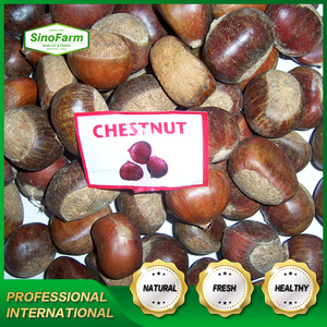 Prix d'usine, vente en gros <span class=keywords><strong>de</strong></span> châtaignes chinoises brutes, châtaignes fraîches pour l'exportation - Product Image 4