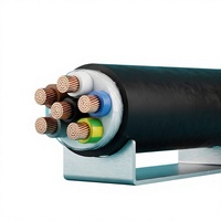 Câble d'alimentation VVGng LS standard GOST 0,6 1kV, conducteur en cuivre sans oxygène, résistant au feu, PVC IEC 60332-3-22, industriel