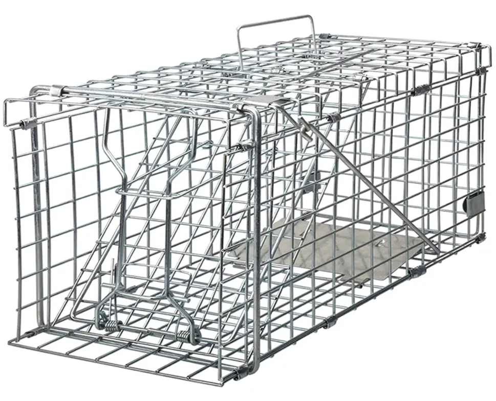 Humane Metal Large Live Wild Coyote Squirrel Rabbit Raccoon Dog Cage Trap Fox Animal Trap Feral Cat Trap Cages for sale