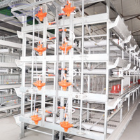 Système de cages en batterie multifonctionnelles automatiques de type H pour poulets de chair avec poulailler et cage à poules pondeuses