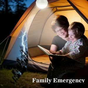 ไฟ LED พลังงานแสงอาทิตย์ IP65 สำหรับฟาร์มสเตดแบบออลราวด์ ดีไซน์กันน้ำ ส่องสว่างต่อเนื่อง ใช้ได้ในกรณีไฟดับ ตกแต่งภูมิทัศน์ - Product Image 5