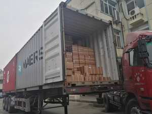 <span class=keywords><strong>Moteur</strong></span> de vélo électrique 48V <span class=keywords><strong>750W</strong></span>, avec dropout de 135mm, 175mm, 190mm, pour transmission avant <span class=keywords><strong>Bafang</strong></span>, adapté aux pneus larges et aux vélos de neige - Product Image 5