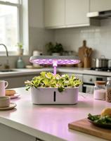 Équipement de culture hors sol, système de culture hydroponique intelligent pour la maison, pots à légumes, boîtes de culture pour plantes/fleurs, haute rigidité 3