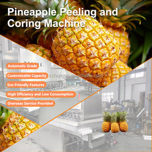 Machine à éplucher et à retirer le cœur de <span class=keywords><strong>l</strong></span>'ananas, hautement efficace et pratique, pour les ateliers de transformation des fruits et <span class=keywords><strong>l</strong></span>égumes - Product Image 4