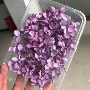 Flores de Hortensia Secas de Alta Calidad para Decoración de Bodas, <span class=keywords><strong>Hortensias</strong></span> Preservadas - Product Image 5