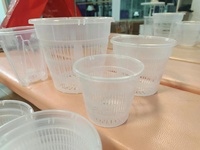 Pot transparent en plastique pour orchidées, avec trous de drainage respirants, idéal pour la culture hydroponique, récipient en filet transparent pour plantes, pots de jardin à fentes