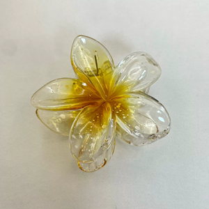 إكسسوارات الشعر الجميلة HAC - 021 - Product Image 6