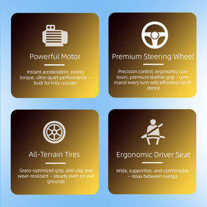 Produits de conception nouvelle et exclusive 2025, chariot de golf à 4 roues Parison rose avec 8 passagers, véhicule utilitaire électrique 2025SDZX12PTPR213 - Product Image 2