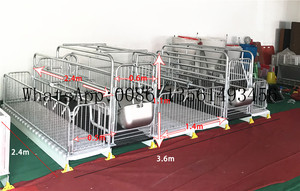 Hoàn Thiện Thùng Fatten Bút Lợn Chăn Nuôi Trang Trại Lồng Động Vật - Product Image 6