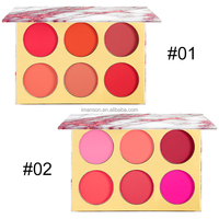 Palette de fard à joues professionnel, nouvelle tendance pour été, étiquette privée, 6 couleurs