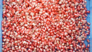 Pelador <span class=keywords><strong>de</strong></span> semillas Industrial <span class=keywords><strong>de</strong></span> <span class=keywords><strong>Granada</strong></span>, máquina peladora <span class=keywords><strong>de</strong></span> pulpa <span class=keywords><strong>de</strong></span> fruta <span class=keywords><strong>de</strong></span> la pasión <span class=keywords><strong>de</strong></span> pomelo - Product Image 4