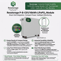 Système de stockage d'énergie domestique divisé 48V 314Ah LiFePO4 16,08 kWh, batterie lithium murale CAN pour onduleur solaire