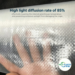 Film de serre tissé <span class=keywords><strong>anti</strong></span>-pluie acide, bâche transparente imperméable, protection UV, épaisseur personnalisable, découpe sur mesure - Product Image 6