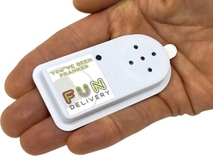 FUN Delivery Annoise Appareil sonore enregistrable et discret pour faire des farces à vos <span class=keywords><strong>amis</strong></span> et votre famille, jouet amusant - Product Image 2