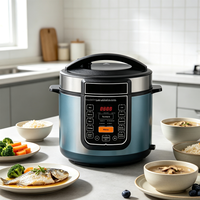 Autocuiseur Électrique Haute Efficacité avec Préréglages Multiples, Cuisson Rapide, Idéal pour la Maison et les Familles, Commande en Gros