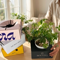 Fournitures pour fleuristes, emballages de fleurs en carton recyclables, écologiques, durables, boîtes rigides pour l'expédition de fleurs, laminage mat, vente en gros