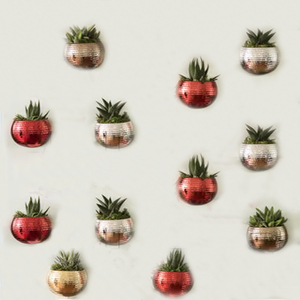 <span class=keywords><strong>Pot</strong></span> <span class=keywords><strong>de</strong></span> plantes magnétiques en acier inoxydable, planteuses magnétiques pour réfrigérateur, <span class=keywords><strong>mini</strong></span> plantes à fleurs - Product Image 1