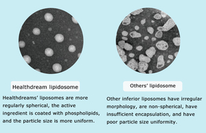 Le fabricant fournit de la <span class=keywords><strong>vitamine</strong></span> <span class=keywords><strong>C</strong></span> liposomale à haute absorption 70% | Acide ascorbique haute résistance pour supplément liposomal VIT <span class=keywords><strong>C</strong></span> - Product Image 2