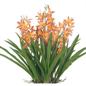 Oh Arts Fleurs Artificielles Orchidées Phalaenopsis en Soie, Fleurs Artificielles au Toucher Réel, Orchidées Près de Moi - Product Image 3