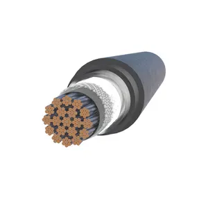 China Made Power Supply Voltage 6KV Ultra- Longline Heat Tracing Cable Long Distance Heating Cable