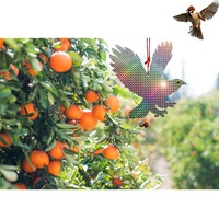 Aigle effrayant réfléchissant pour oiseaux, dissuasifs décoratifs pour oiseaux éloignent les oiseaux