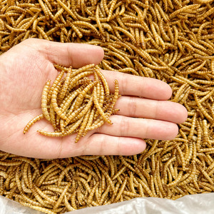 Mangime per Pesci Ornamentali di Piccole Dimensioni ad Alto Contenuto Proteico, Snack per Animali Domestici che Esalta il Colore, 100% Naturale in Sacchetti per Guppy, Frappi, Tartarughe e Gamberetti - Product Image 5