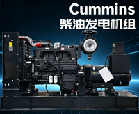 Groupe électrogène diesel robuste 315 kVA 252 kW 3 PH 400 V 50 Hz, silencieux, pour usage industriel, minier et de construction