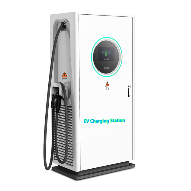 Custom Commercial Electric Vehicle Charging Pile DC Fast EV Charger Station New Condition for Credit Card Payment Terminal