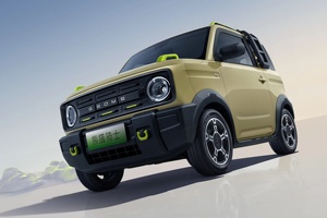 2024 rinnovata Geely Panda Mini auto elettrica Hot Sell versione 200km da cavaliere con 4 posti ad alta velocità 3 porte 4 posti M - Product Image 6