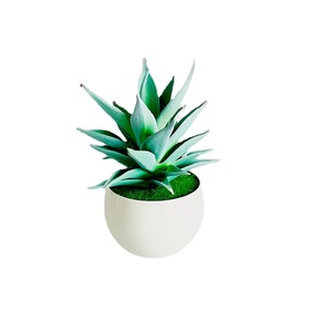 Plante succulente artificielle en pot, gladiolus à 6 niveaux, bonsaï en PVC souple, décoration d'intérieur, accessoires de mariage - Product Image 5