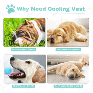 Verano transpirable <span class=keywords><strong>perro</strong></span> Cooler Jacket reflectante al aire libre <span class=keywords><strong>perro</strong></span> <span class=keywords><strong>chaleco</strong></span> de refrigeración - Product Image 5