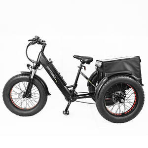 Tricycle électrique 750W pour personnes à mobilité réduite, E-Trike 20 pouces, 3 roues, pour adultes, entrepôt UE, vélo cargo électrique - Product Image 5