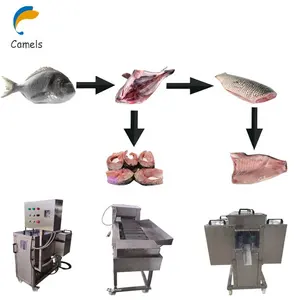 Máquina de procesamiento de sardinas, máquina de captura de peces de Catfish, cortadora de pescado