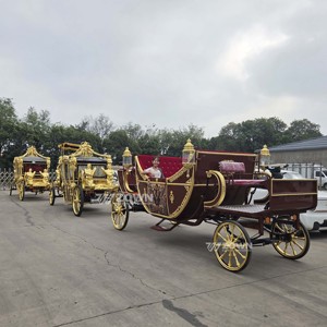 Carrosse royal exclusif à chevaux : Aménagement décoratif unique pour attractions touristiques et scènes de photographie de mariage - Product Image 3