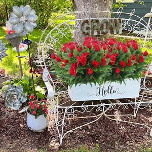 Plante artificielle en soie faite à la main, haute fidélité, originale, à 7 branches, style bonsaï, pour décoration intérieure - Product Image 2